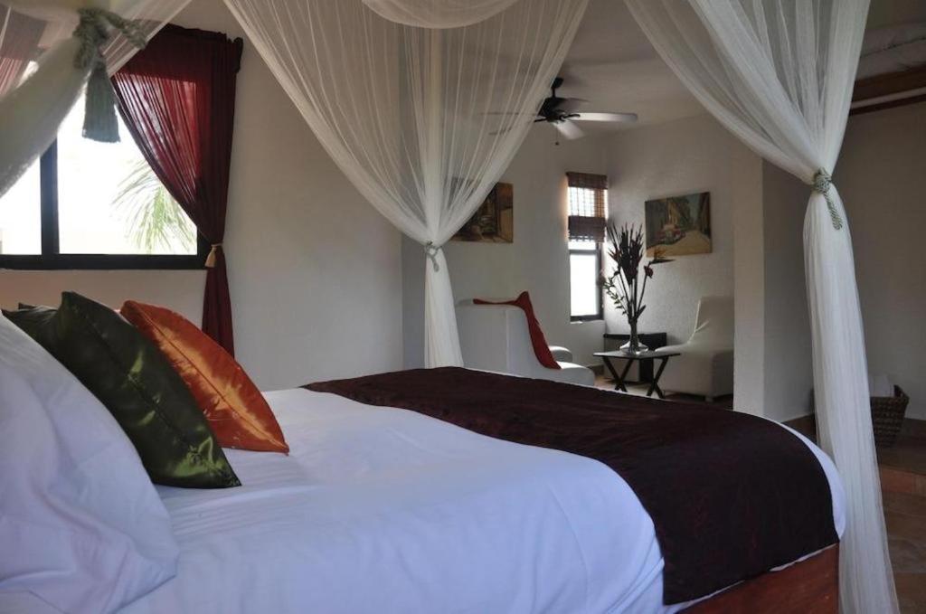 Flamingo Hotel كوزوميل المظهر الخارجي الصورة